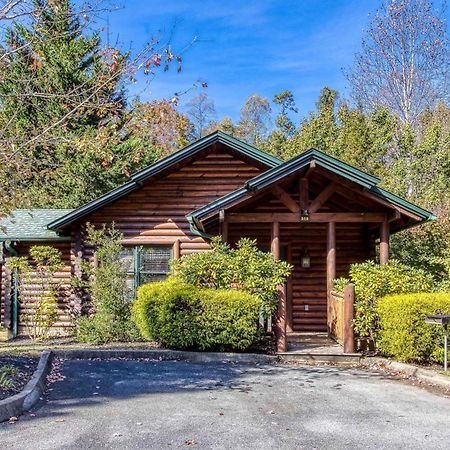 Dog Friendly, Romantic Mtn Getaway Hot Tub Pool Gatlinburg Extérieur photo