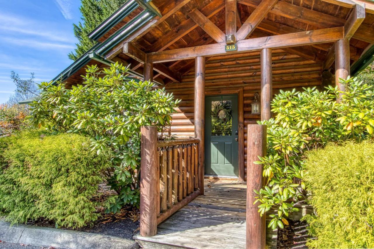 Dog Friendly, Romantic Mtn Getaway Hot Tub Pool Gatlinburg Extérieur photo
