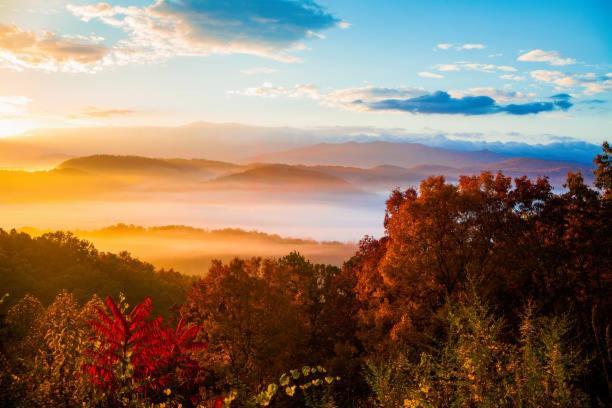 Dog Friendly, Romantic Mtn Getaway Hot Tub Pool Gatlinburg Extérieur photo