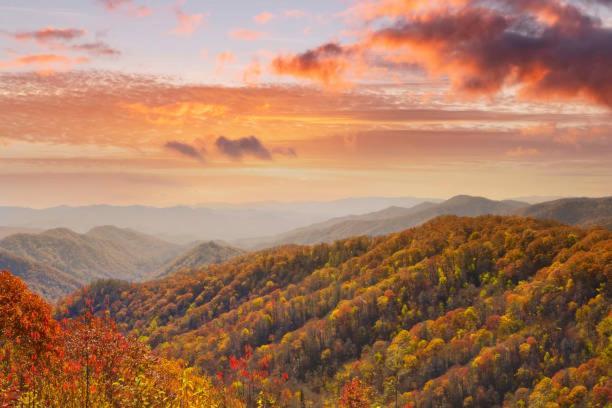 Dog Friendly, Romantic Mtn Getaway Hot Tub Pool Gatlinburg Extérieur photo